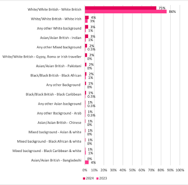 Chart 7: Ethnic identity of visitors