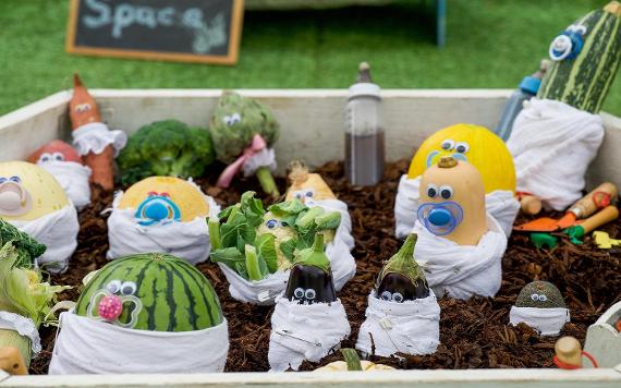 A vegetable patch with faces